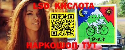 гидропоника Владимир