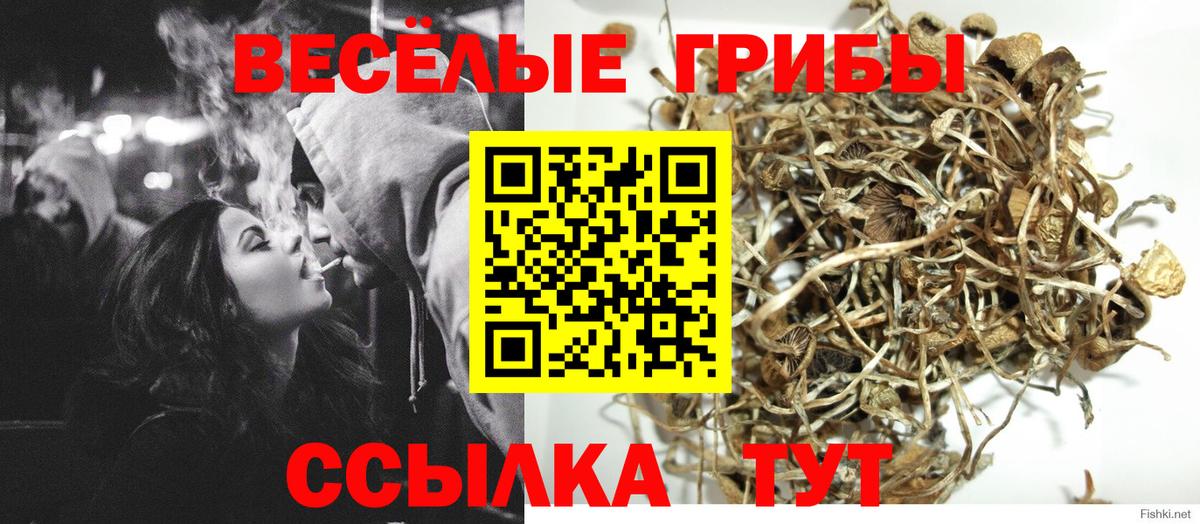 Галлюциногенные грибы Magic Shrooms Гагарин