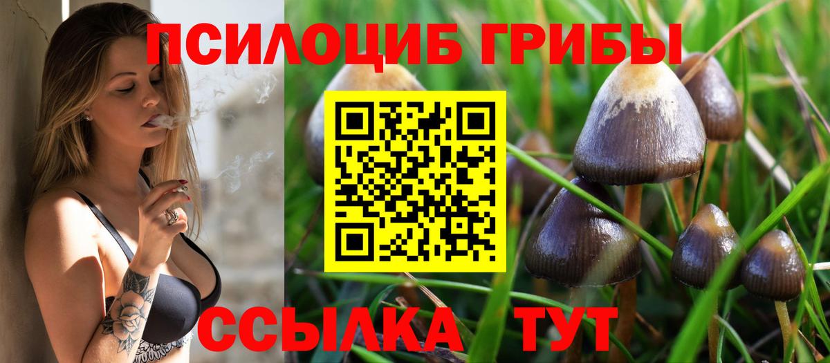 Гагарин  Галлюциногенные грибы мухоморы  Вход с VPN 
